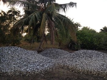 Oyster shell dump
